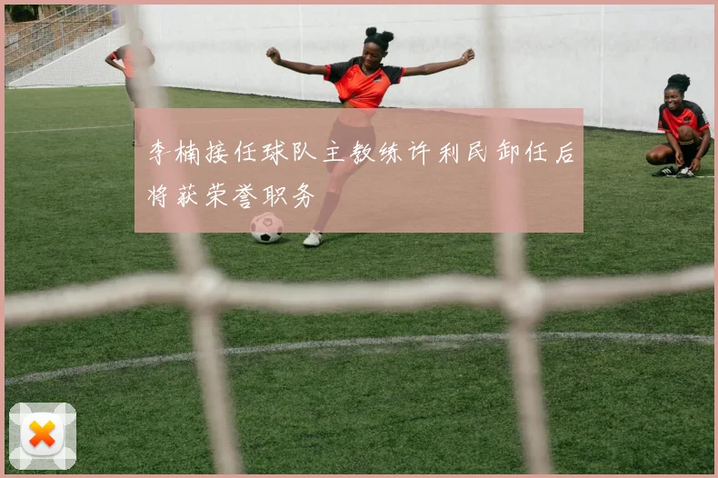 李楠接任球队主教练许利民卸任后将获荣誉职务