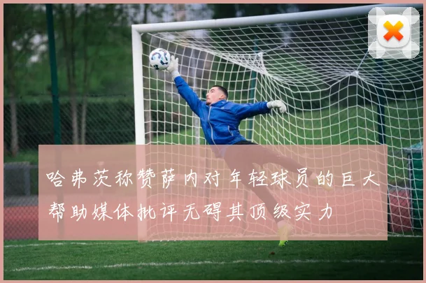 哈弗茨称赞萨内对年轻球员的巨大帮助媒体批评无碍其顶级实力